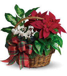 Holiday Homecoming Basket from Arjuna Florist in Brockport, NY